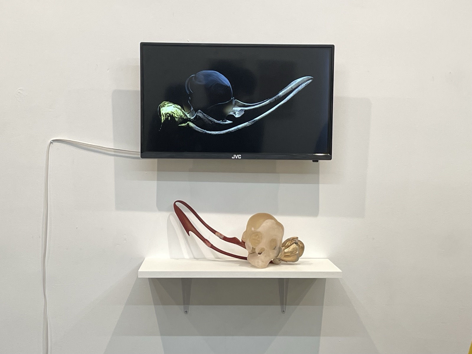 Installation view, Liminal Territories