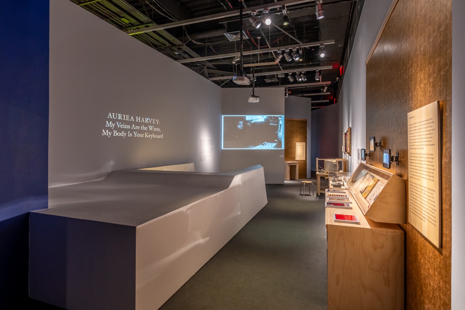 Installation view, My Veins Are The Wires, My Body Is Your Keyboard