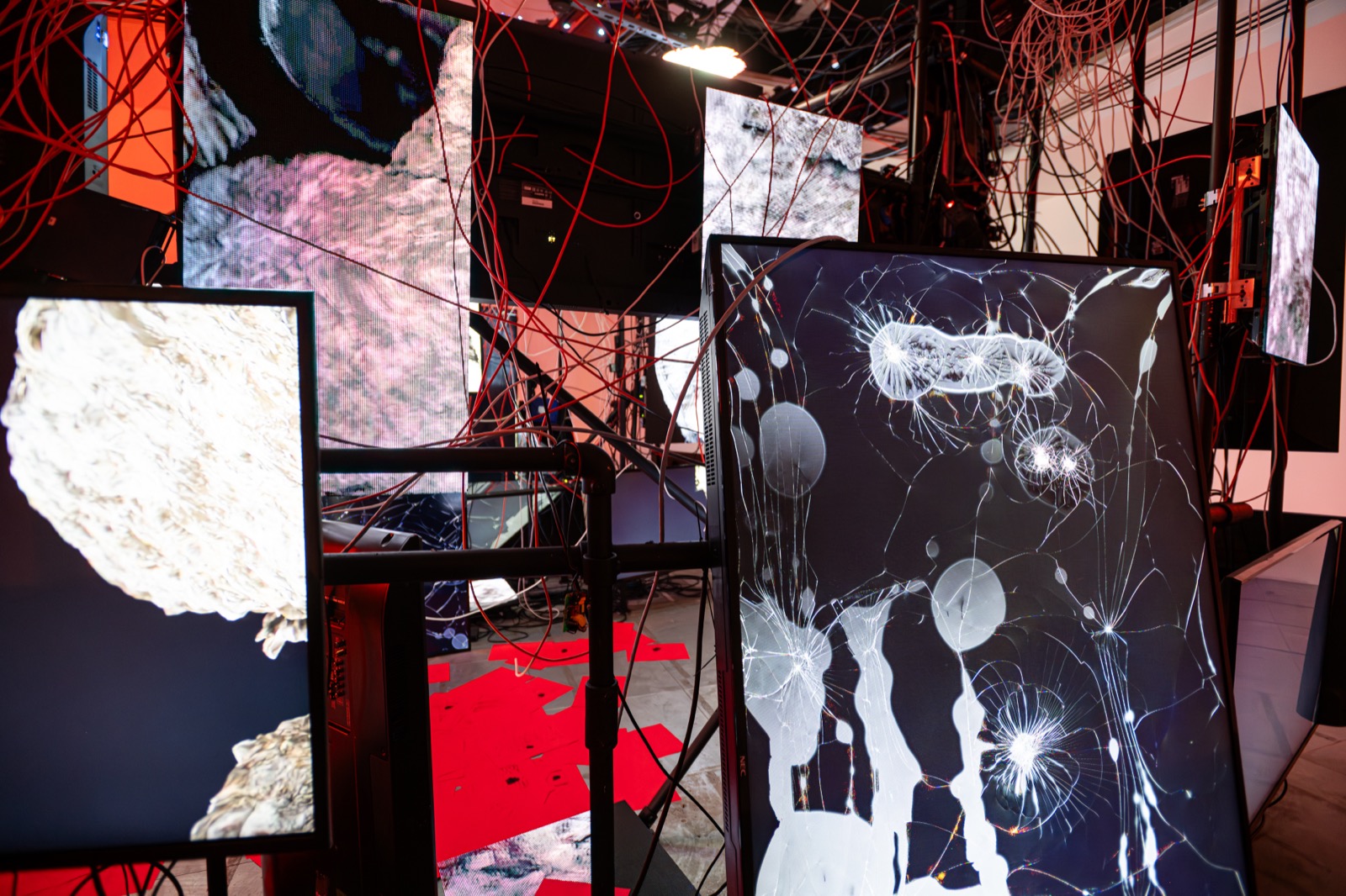 Installation view, (This room is a sculpture called) PROPHECY