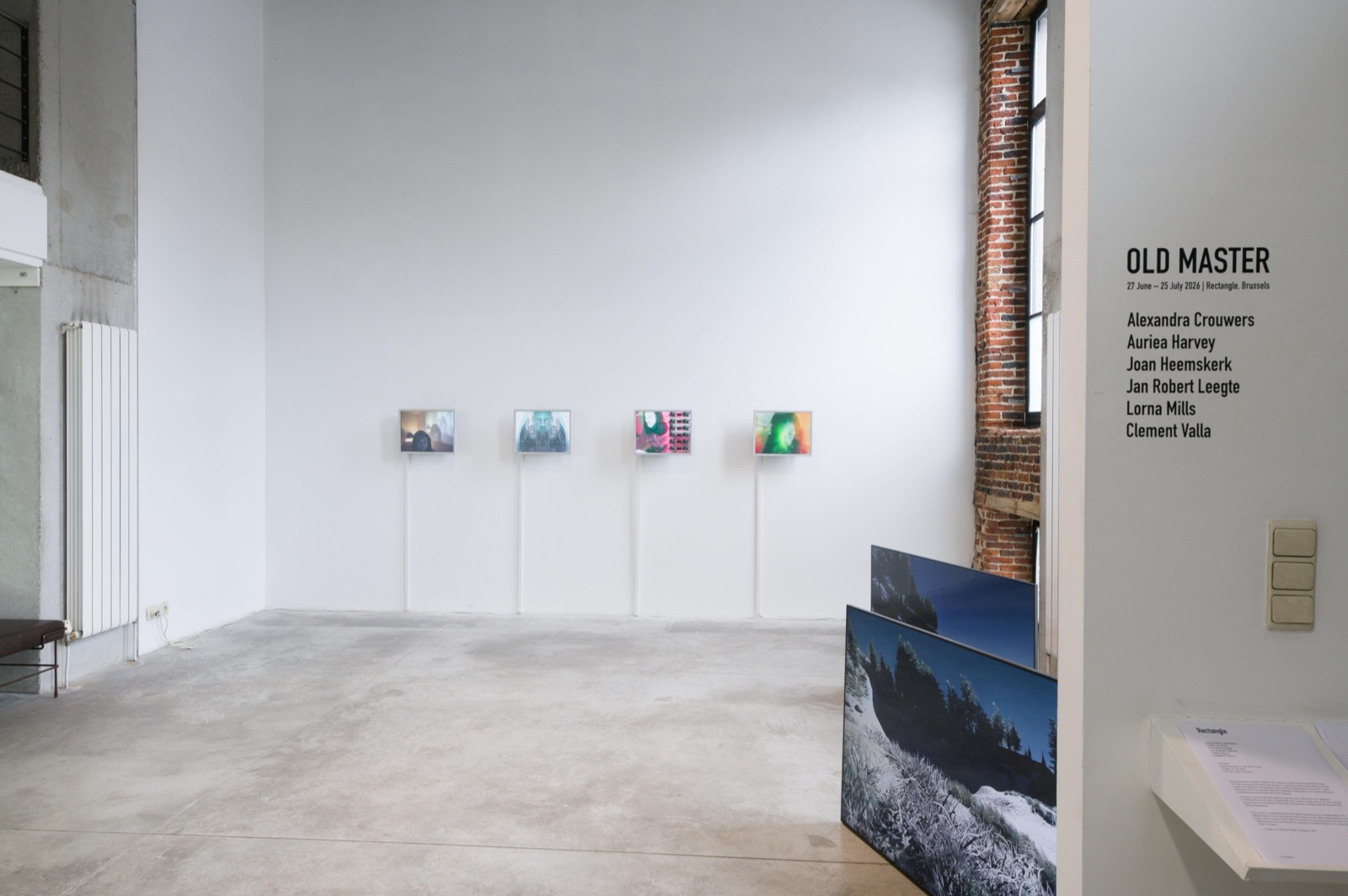 Installation view, Old Master