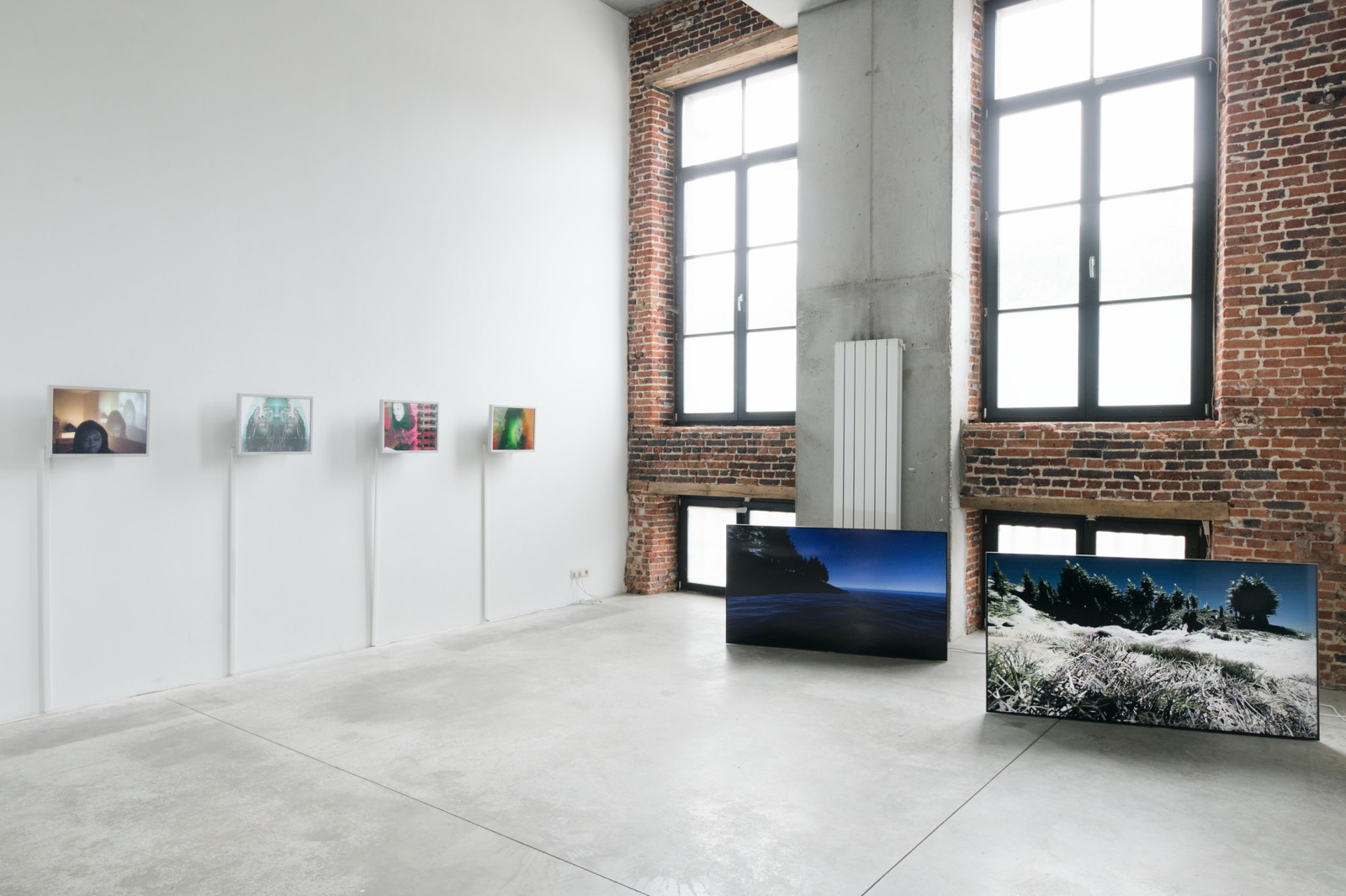Installation view, Old Master