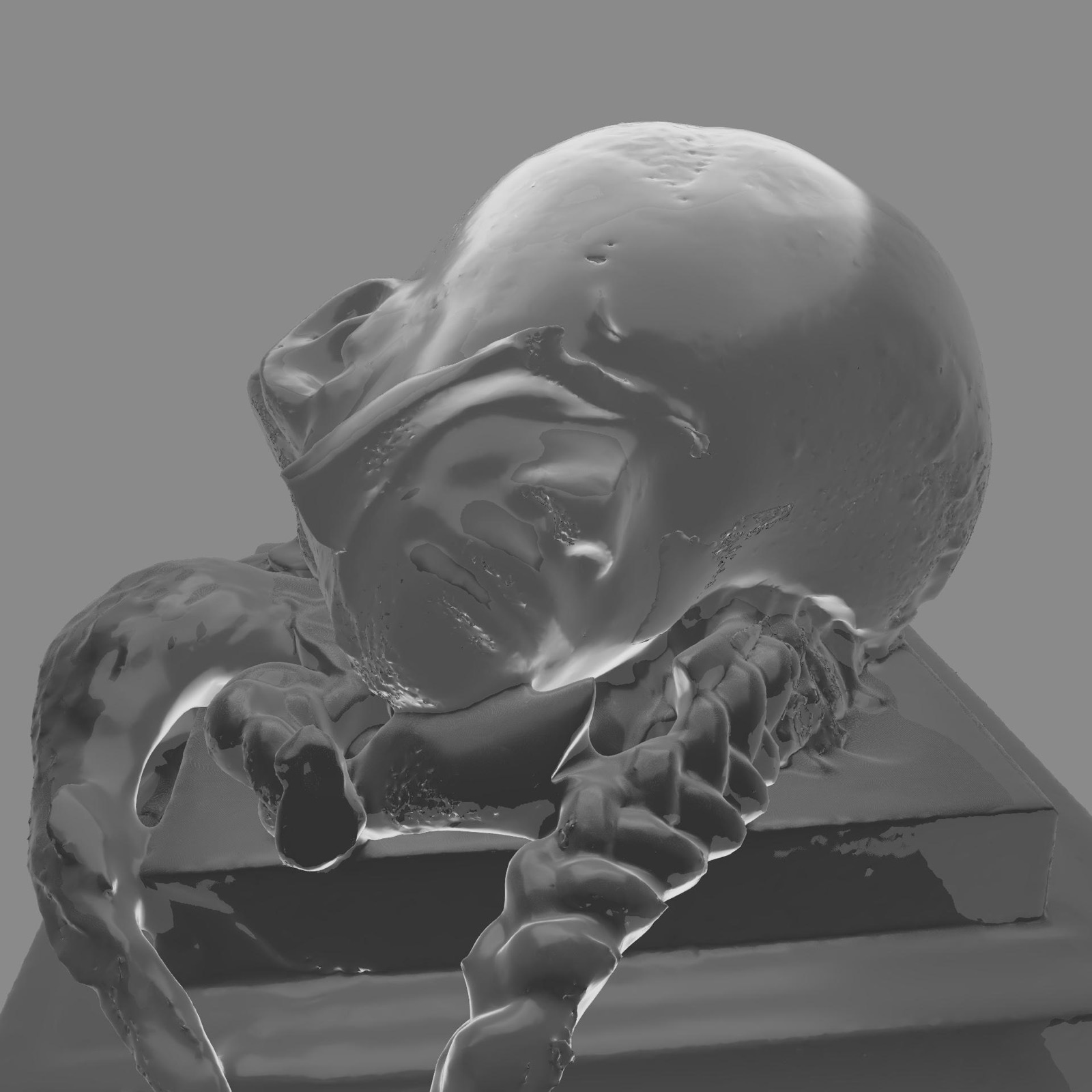 Haristory (Gray Matter)