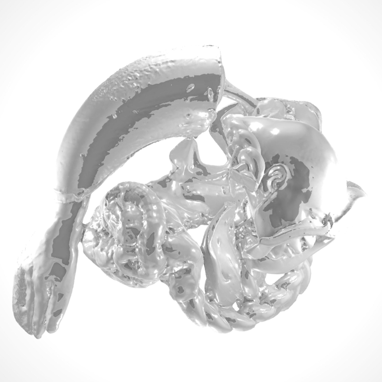The Hand Heart Problem (Gray Matter)